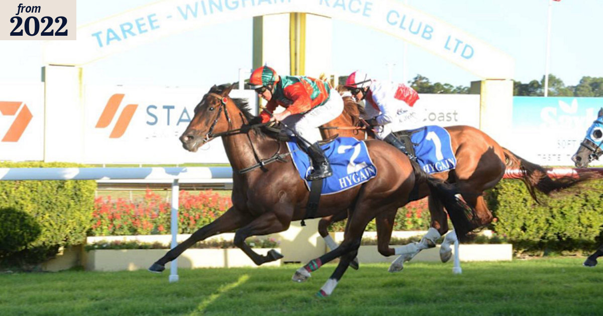 Racing 2022: Taree trainer Matthew Robinson is hoping for improved ...