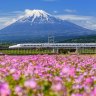 The shinkansen travels past Mt. Fuji between Tokyo and Kyoto.