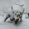 Snow covers the famous Charging Bull.
