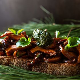 Wild mushrooms on toast.