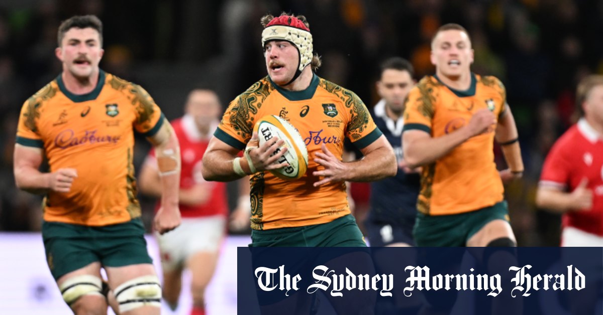 McReight, Paisami return for Bledisloe series as Schmidt sticks solid with Wallabies