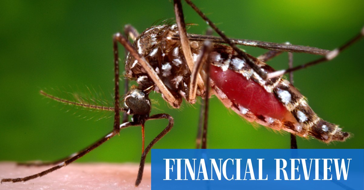 Strep A, RSV, flu: Floods, pandemics worsen health threats including Japanese encephalitis - Vimarsana News