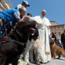 Pope says having pets instead of babies is selfish