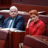 Politics Live: One Nation MP defies Pauline Hanson on company tax cuts
