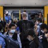 Split between transport agency, minister over Sydney train shutdown