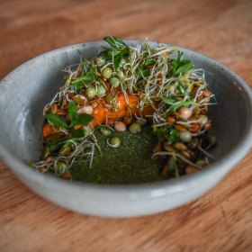 Pumpkin with sprouted seeds.