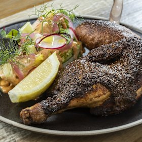 Barbecue chicken with cob salad, zhoug, pane paradiso roll.