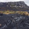 Bushfire planning blindspots leave vulnerable wildlife exposed