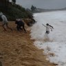 Erosion due to wild weather at Wamberal Beach on the Central Coast of NSW in 2020.