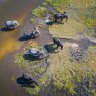 You can experience Botswana’s spectacular Okavango Delta in sustainable luxury.