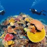 Audit finds bureaucrats applied 'insufficient scrutiny' to $443 million Barrier Reef grant