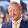 Fortescue’s executive chairman and founder, Andrew Forrest.