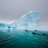 Polar snorkelling is one of the most unique ways to experience Antarctica.