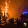 Homes in Blue Mountains most at risk from bushfires, insurer says