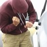 Car owners urged to be vigilant about insurance with thefts on the rise