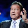 Schwarzenegger struck by flying kick at South Africa sports event