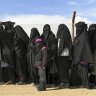 25,000 Syrians to be released from camp for IS supporters