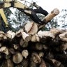 Assistant Forestry Minister Jonathon Duniam says he won’t follow the recommendation of a statutory review of federal environment laws to scrap the exemption for native forestry from Commonwealth wildlife protections. 