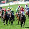 Punters hedge their bets at Call of the Card ahead of Melbourne Cup