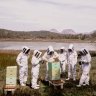 traxx-saffire
Saffire Tasmania
Images supplied for Traveller, January 2022
Saffire Freycinet experiences
Beekeeping experience