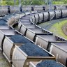 Analysts are worried that Aurizon will have to reprice coal haulage contracts at lower prices, hurting earnings.
