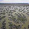 Menindee Lakes: Site of massive fish-kill still being mismanaged