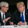 'Very compelling argument': Apple chief Tim Cook raises Samsung concerns with Trump