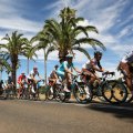 A big wheel deal: The Santos Tour Down Under.