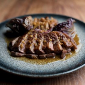 Gippsland duck.