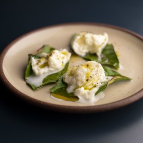 Mozzarella on lemon leaf.