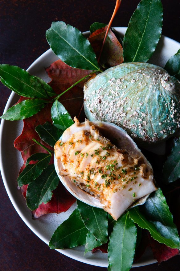 Green-lip abalone.