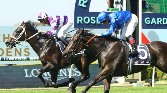 Lindermann fights back on the rails to hold off Pericles in the Rosehill Guineas.