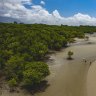 Hunting for bush tucker in the mangroves Supplied PR image for Traveller. Walkabout Adventures, Queensland. Mud crabs. Ben Groundwater story on Chef's Table episode featuringÂ Juan Walker from Walkabout Adventures. Photos from Tourism and Events Queensland