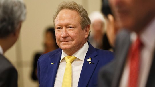Fortescue Metals Group executive chairman Andrew Forrest.