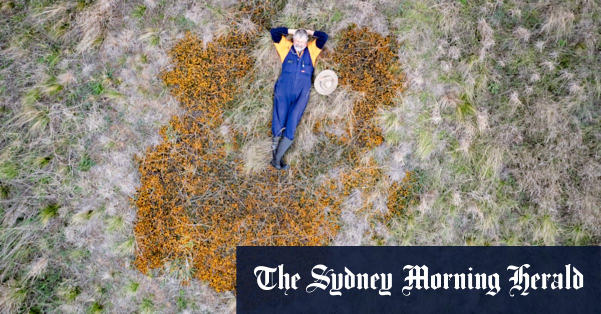 Grasslands mean they have more green space than leafy eastern suburbs