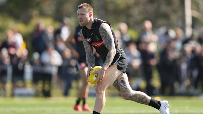 Magpies open to vacating nest to help Australian Open keep growing
