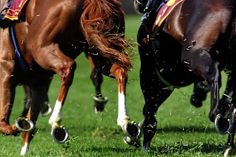 Thursday's seven-card meeting at Gosford features several strong chances.