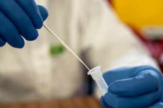 Rapid antigen tests are relatively inexpensive compared to the common PCR tests (the nasal and throat swabs), however results are less accurate.