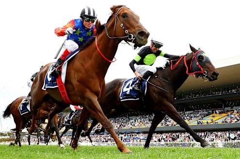 Bella Nipotina is one of the leading contenders in this year’s Everest.