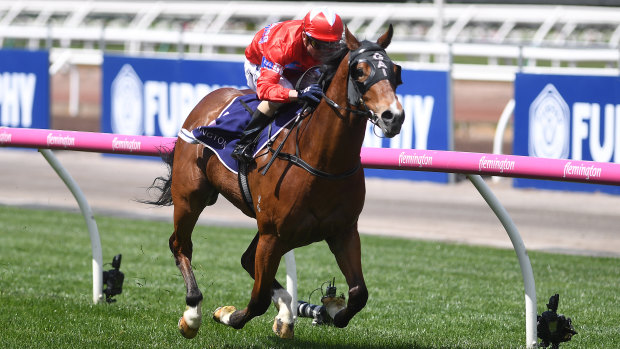 Millions favourite: Unite And Conquer win the Maribyrnong Trial Stakes last year