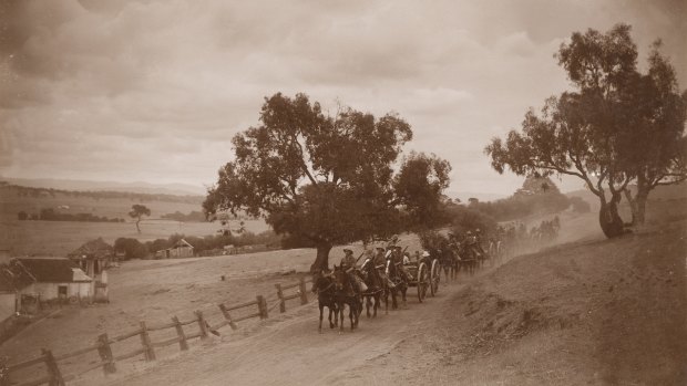Horse-drawn artillery teams travel along Lavarack Road, Duntroon in 1914. 