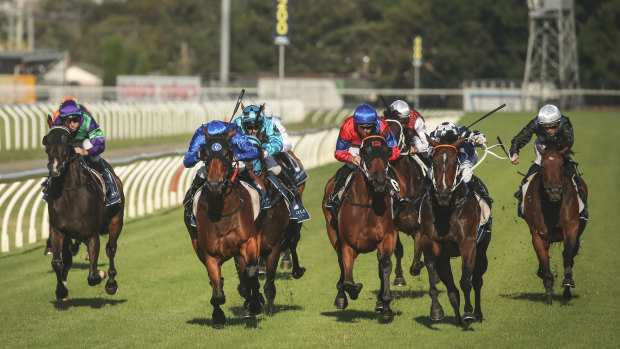 Taking a punt: Tuesday's meeting at Newcastle looms as one for the form students.
