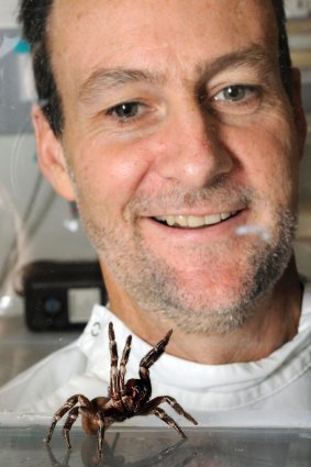 Biochemist Glenn King with a funnel web spider.