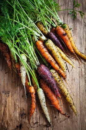 Sustain: The Australian Food Network is hosting a webinar on edible gardening and urban agriculture.