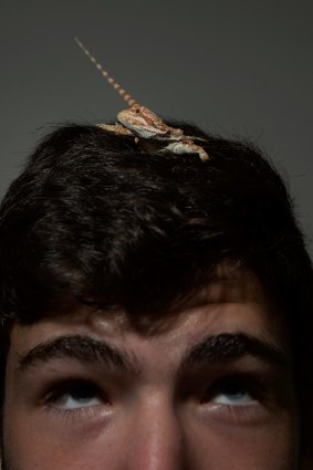 Nathan Rosen with his Baby Central bearded dragon.