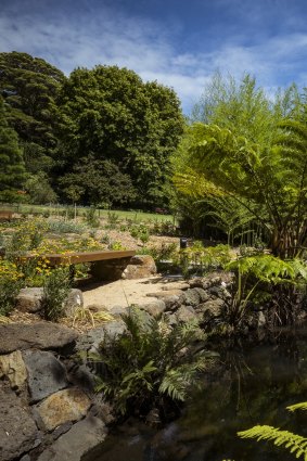 The Botanic Gardens’ sensory garden.