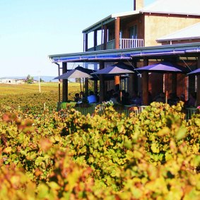 Sittella, Swan Valley. 