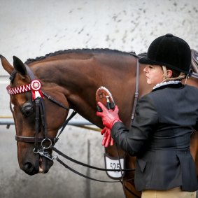 Ms McIntyre and her horse Sirmione, a former racehorse trained by Bart Cummings, at the Melbourne Show competing in Garryowen. 22 September 2015. The Age NEWS. Photo: Eddie Jim.