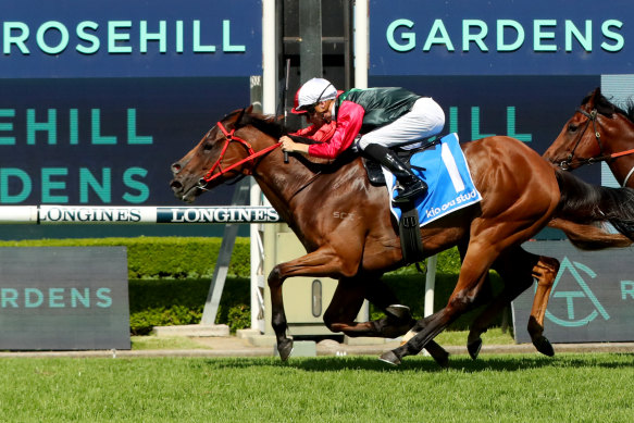 Dylan Gibbons keeps a cool head to get Miriamia home by the barest margin at Rosehill.