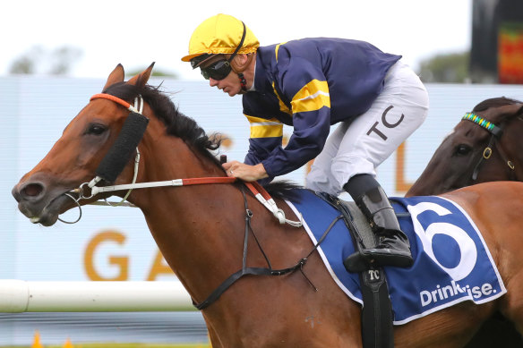 Zeyrek, with Tim Clark aboard, wins the Neville Selwood Stakes at Rosehill on Saturday.  